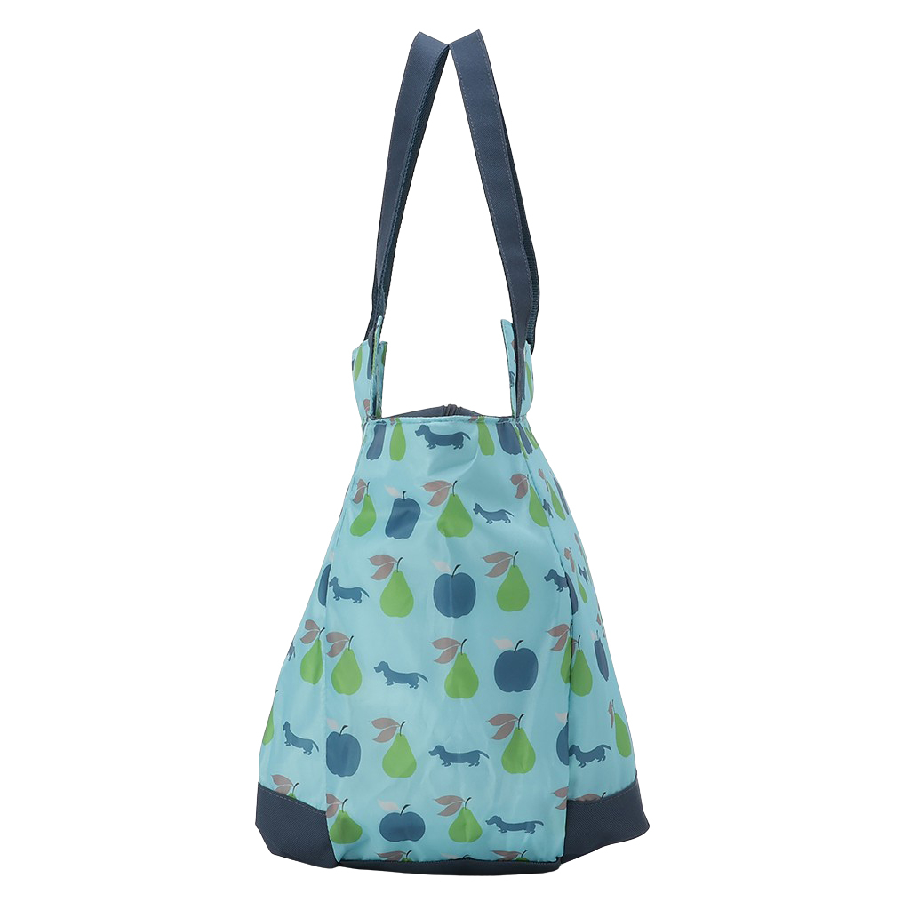 バルーン 保冷バッグ トートバッグ 3L35 [WHOLLY ウォーリー] 保温保冷 大容量 BIGサイズ 買い物 レジャー イヌ レディース ブルー