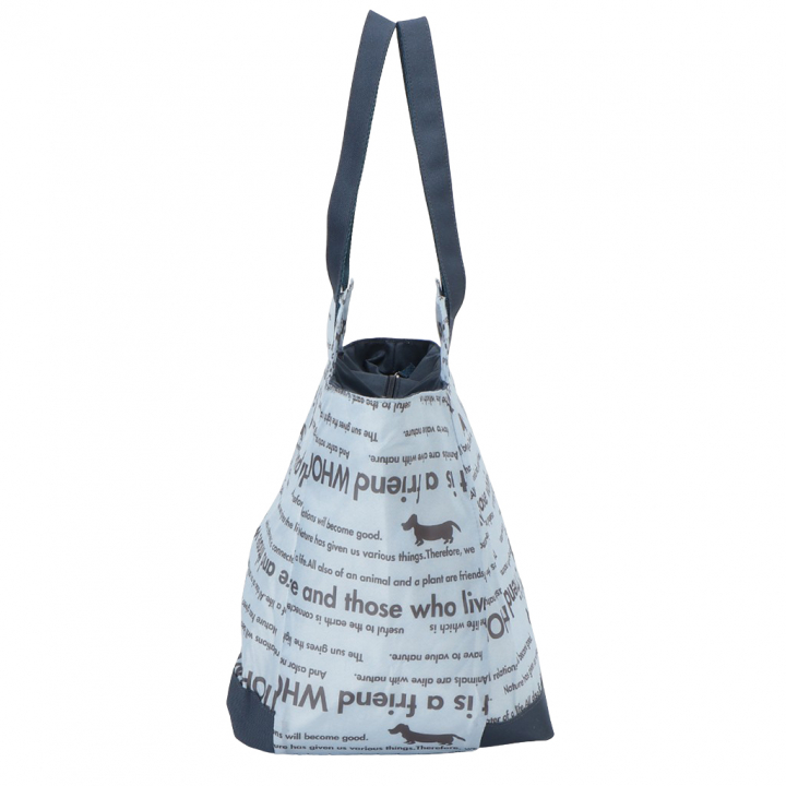 バルーン 保冷バッグ トートバッグ 3L41 [WHOLLY ウォーリー] 保温保冷 大容量 BIGサイズ 買い物 レジャー イヌ レディース サックス