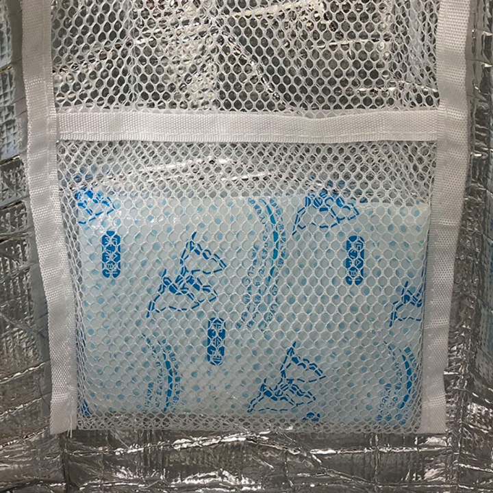 バルーン 保冷バッグ トートバッグ 3L41 [WHOLLY ウォーリー] 保温保冷 大容量 BIGサイズ 買い物 レジャー イヌ レディース サックス