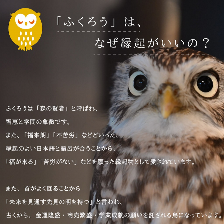 福寄れば財が成る縁起財布！ふくろう福財布 折り財布(ファスナー) 2W18 開運サイフ フクロウ財布 風水 一粒万倍日 お札入れ おじいちゃん おばあちゃん 金運財布 レディース